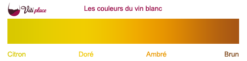 Les couleurs des vins blancs